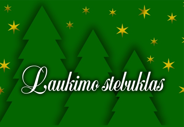 Kalėdinės muzikos valanda „Laukimo stebuklas“